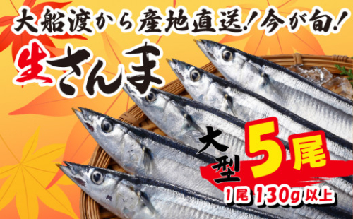 【先行予約受付】 さんま 大型5尾 冷蔵 期間限定 [発送:2025年9月～2025年11月下旬] 三陸 岩手 大船渡市