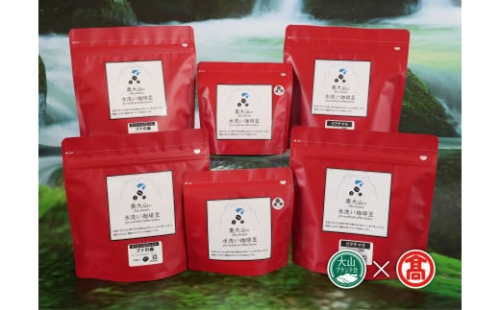 <奥大山の水洗い珈琲>コーヒー豆 定期便(頒布会A 2回コース) グアテマラ／ブナの森ブレンド 55-CY16 1043 1401536 - 鳥取県江府町