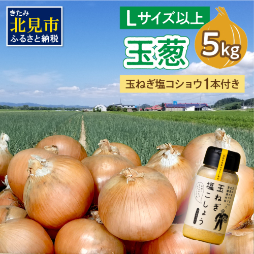 【予約：2025年11月から順次発送】玉葱 5kg Lサイズ以上 玉ねぎ塩こしょう 1本付き ( タマネギ 玉葱 野菜 調味料 塩コショウ )【148-0011-2025】
 1401912 - 北海道北見市