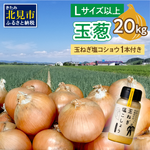 【予約：2025年11月から順次発送】玉葱 20kg Lサイズ以上 玉ねぎ塩こしょう 1本付き ( タマネギ 玉葱 野菜 調味料 塩コショウ )【148-0013-2025】 1401914 - 北海道北見市