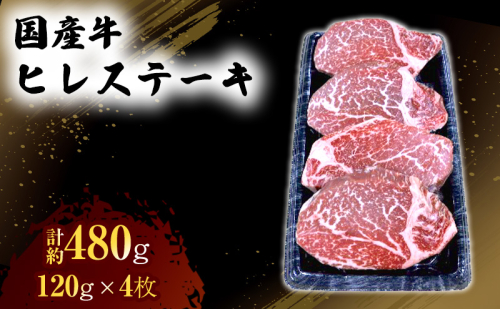 国産 牛 ヒレ ステーキ 約480g 肉 お肉 牛肉 ※配送不可:離島 1402021 - 熊本県錦町