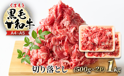 牛肉 A4～A5 くまもと 黒毛和牛 切り落とし 1kg (500g×2p) 肉 お肉 ※配送不可：離島 1402030 - 熊本県錦町