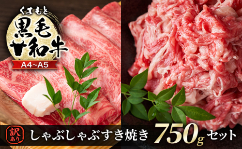 訳あり 牛肉 A4～A5 くまもと 黒毛和牛 しゃぶしゃぶ すき焼き 750g セット 肉 お肉 ※配送不可：離島 1402040 - 熊本県錦町