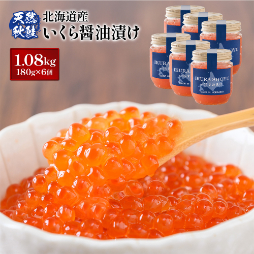 【10営業日以内発送！】天然秋鮭 いくら醤油漬け1.08kg(180g×6)【0213202】 1402970 - 北海道羽幌町