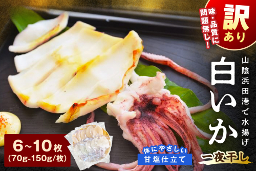 【訳アリ】白いか一夜干し　（７０ｇ～１５０ｇｘ6～１０枚） 訳アリ 小分け いか 白いか 無添加 個包装 一夜干し 産地直送【136_1961】 1407514 - 島根県浜田市