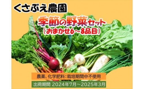 くさぶえ農園『季節の野菜6～8品目セット』（2025年7月～2026年3月出荷／北海道・沖縄・離島は配送不可）高原 無農薬 産地直送 新鮮 旬彩 簡単レシピ 先行予約【 産直 高原野菜 季節の野菜 旬の野菜 有機野菜 有機栽培 農薬 化学肥料 不使用 佐久市 】