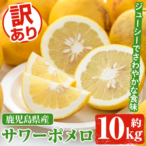 ＜先行予約受付中！2026年1月以降順次発送予定＞訳ありサワーポメロ(約10kg) 国産 果物 フルーツ 柑橘 甘味 酸味 デザート おやつ【松永青果】akn053-16 1411701 - 鹿児島県阿久根市