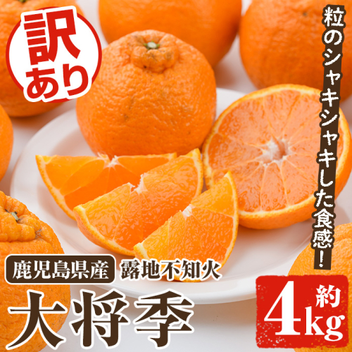 ＜先行予約受付中！2026年2月以降順次発送予定＞訳あり不知火(約4kg) 国産 鹿児島県産 果物 フルーツ 柑橘 不知火【松永青果】akn053-17 1411703 - 鹿児島県阿久根市
