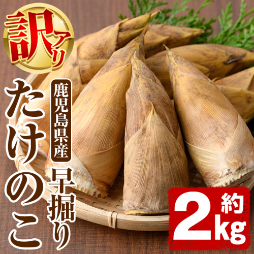 ＜先行予約受付中！2025年11月以降順次発送予定＞訳あり！鹿児島県産 早掘りたけのこ(約2kg) 国産 野菜 たけのこ タケノコ 筍 旬 煮物 水煮 天ぷら つくだ煮【松永青果】akn053-29 1411706 - 鹿児島県阿久根市