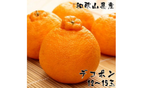 和歌山有田の濃厚大玉デコポン 12～15玉 約5kg［先行予約］［MS79］ 1412853 - 和歌山県那智勝浦町