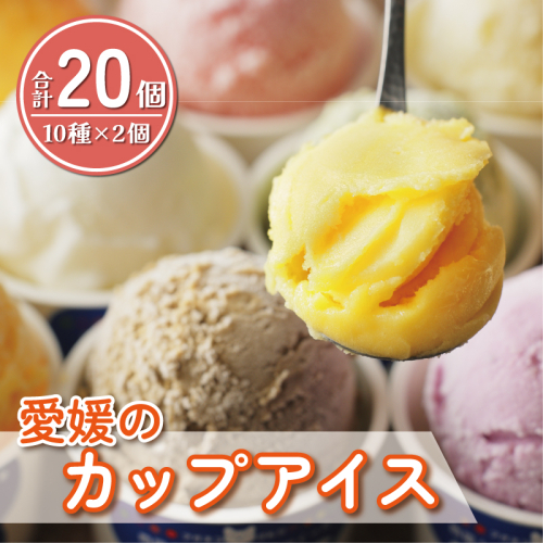 愛媛 の カップ アイス 20個 （ 10種 × 2個 ） 食べ比べ セット 温州 みかん 不知火 ポンカン はるか 美生柑 河内晩柑 紅まどんな 牛乳 いちじく 苺 紅茶 レモン キウイ いちご 久万茶 ブルーベリー 無花果 ぽんかん 愛南ゴールド あいなん ゴールド ジェラート じぇらーと シャーベット アイスクリーム デザート スイーツ 特産品 ギフト 人気 限定 愛南町 愛媛県 あいさと 1415378 - 愛媛県愛南町