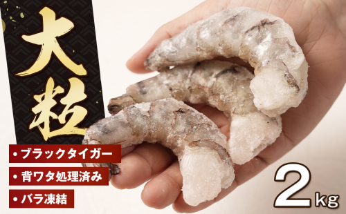 至福の大粒むきえび　背ワタ処理済 2kg（1kg×2袋）　　[むきえび 冷凍 ムキエビ ブラックタイガー 大型 むきえび] 1416925 - 兵庫県淡路市