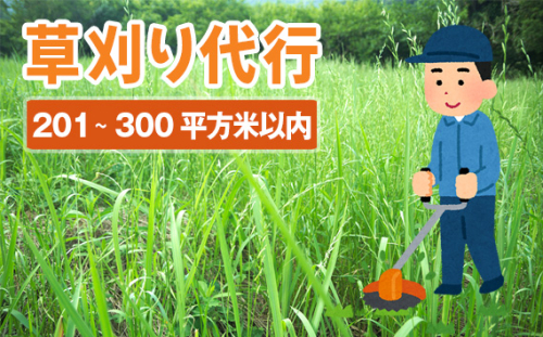 No.758 草刈り代行サービス(201~300平方メートル以内) / 空地 除草作業 お手入れ 坂東市内 茨城県
1418090 - 茨城県坂東市