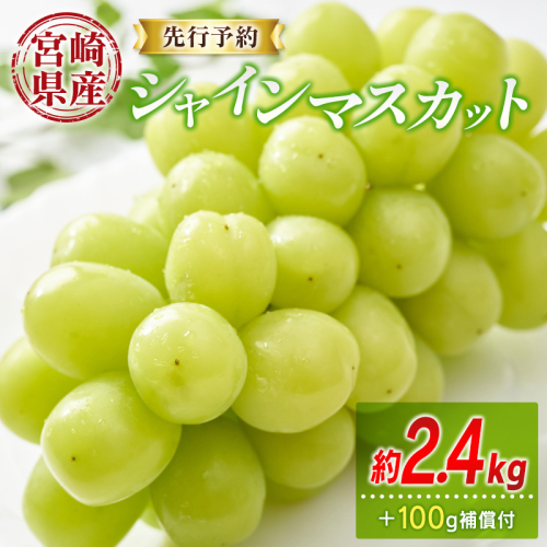 先行予約 シャインマスカット 3～4房 約2.4kg+100g補償付 宮崎県産【C433-25】 1418458 - 宮崎県新富町