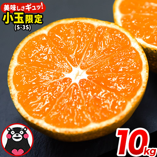 みかん 訳あり くまもと小玉みかん 10kg (10kg×1箱) 秋 旬 先行予約 ちょっと訳あり 不揃い 傷 ご家庭用 SDGs 小玉 たっぷり 熊本県 産 S-3Sサイズ フルーツ 旬 柑橘 長洲町 温州みかん《2025年10月中旬-12月末頃出荷》 141924 - 熊本県長洲町