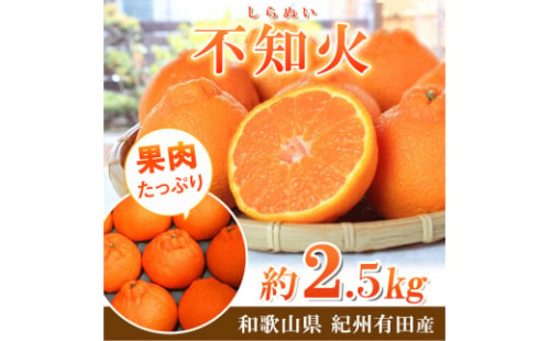 【先行予約】紀州有田産不知火(しらぬひ) 2.5kg ※2026年2月中旬頃〜2026年3月中旬頃に順次発送予定（お届け日指定不可）/ みかん 不知火 和歌山 フルーツ 有田【uot794】 1419264 - 和歌山県新宮市