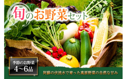 ＜畑から直送＞季節のお野菜セットをお届け！【Mサイズ】旬のお野菜の中から4～6品を厳選♪ 野菜 新鮮 野菜セット やさい 農家直送 産地直送 野菜 厳選 こだわり 朝採れ 採れたて フレッシュ サラダ 高原野菜 果物 フルーツ 詰め合わせ おまかせ 大地の恵み 贈り物 ギフト  家族 一人暮らし 主婦 料理 お弁当 人気 おすすめ お取り寄せ 野菜 熊本県 阿蘇市