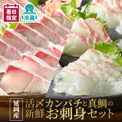 延岡産活〆カンパチと真鯛の新鮮お刺身セット N019-YB435 142108 - 宮崎県延岡市