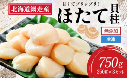 【新物先行予約】網走前浜産 無添加ホタテ貝柱【 750g (250g×3) 】 ABAI032 1421960 - 北海道網走市