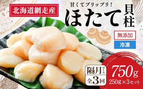 【全3回（隔月）】網走前浜産 無添加ホタテ貝柱750g（250g×3袋） ABAI034 1421962 - 北海道網走市