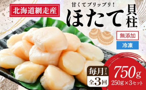 【全3回（毎月）】網走前浜産 無添加ホタテ貝柱750g（250g×3袋） ABAI033 1421963 - 北海道網走市