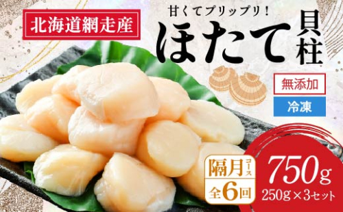 【全6回（隔月）】網走前浜産 無添加ホタテ貝柱750g（250g×3袋） ABAI036 1421964 - 北海道網走市