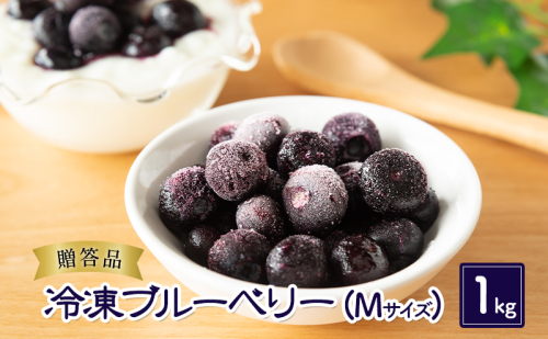 ブルーベリー【冷凍ブルーベリー（Mサイズ）１kg　贈答品】冷凍 完熟 果物 トッピング ヨーグルト 信州 長野 1422341 - 長野県小諸市