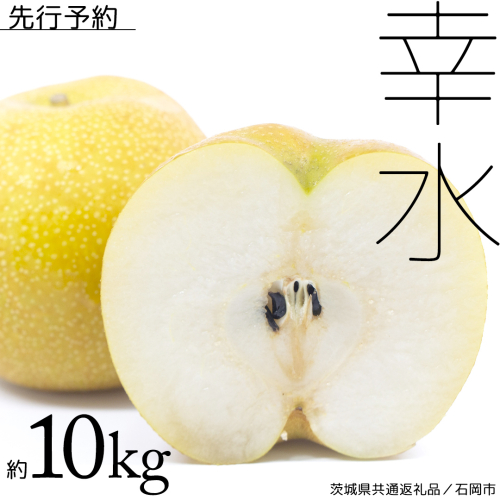 【 2025年8月中旬発送開始 】 幸水梨 約 10kg ( 茨城県共通返礼品 / 石岡市 ) 幸水 梨 フルーツ 果物 なし ナシ 新鮮 旬 期間限定 甘い 国産 [EY001sa] 1422797 - 茨城県桜川市