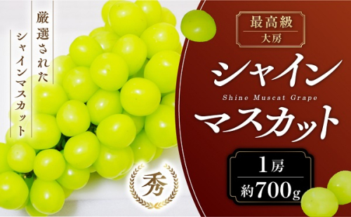 【2025年発送】 最高級 大房 シャインマスカット 1房 約700g 先行予約 山梨県産 産地直送 フルーツ 果物 くだもの ぶどう ブドウ 葡萄 シャイン シャインマスカット 新鮮 人気 おすすめ 国産 山梨 甲斐市 贈答 ギフト お取り寄せ 糖度18度～糖度20度 AN-127 1422899 - 山梨県甲斐市