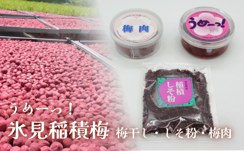 うめーっ！氷見稲積梅 梅干し・しそ粉・梅肉セット 富山県 氷見市 梅干 しそ 酸っぱい 1423341 - 富山県氷見市