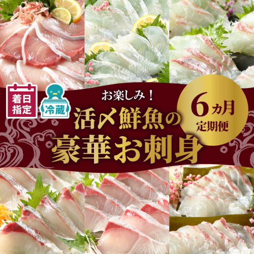 【お楽しみ定期便】延岡産活〆鮮魚の豪華お刺身（6ヶ月定期便） N019-YF073 142394 - 宮崎県延岡市