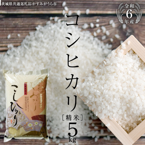 【 令和6年産 】 コシヒカリ 精米 5kg ( 5kg × 1袋 ) (茨城県共通返礼品 かすみがうら市) 米 ごはん もっちり 甘い コメ お米 白米 銘柄米 [EX001sa] 1424078 - 茨城県桜川市