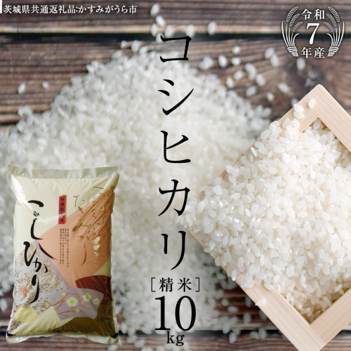 【令和7年産】 コシヒカリ 精米10kg（10kg×1袋）（茨城県共通返礼品 かすみがうら市産） 新米 米 ごはん もっちり 甘い コメ お米 白米 銘柄米[EX002sa] 1424079 - 茨城県桜川市