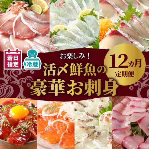 【お楽しみ定期便】延岡産活〆鮮魚の豪華お刺身（12ヶ月定期便） N019-YYG0191 142407 - 宮崎県延岡市