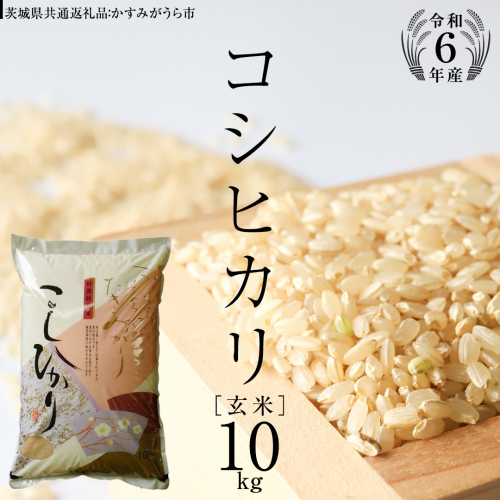 【 令和6年産 】 コシヒカリ 玄米 10kg ( 10kg × 1袋 ) (茨城県共通返礼品 かすみがうら市) 米 ごはん もっちり 甘い コメ お米 玄米 銘柄米 [EX004sa] 1424082 - 茨城県桜川市