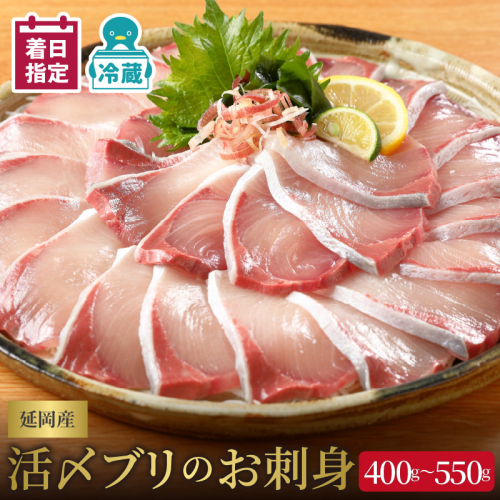 【冷蔵】【日向灘どれ】延岡産活〆ブリのお刺身400g～550g N019-YA2259 142420 - 宮崎県延岡市