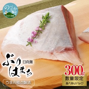 数量限定日向灘ぶり(はまち)うまみ極点製法食べきりパック300g N124-YZA3304 142465 - 宮崎県延岡市