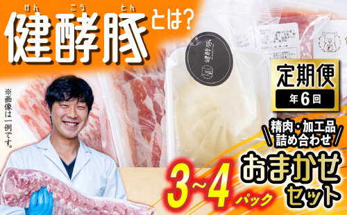 ＜ 定期便 6回 ＞ 北海道産 健酵豚 おまかせ セット （ 加工品 あり） 隔月 各 3～4 パック 豚肉 精肉 加工品 詰め合わせ ブランドポーク 1427128 - 北海道新ひだか町