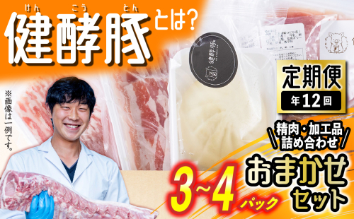 ＜ 定期便 12回 ＞ 北海道産 健酵豚 おまかせ セット （ 加工品 あり） 毎月 各 3～4 パック 豚肉 精肉 加工品 詰め合わせ ブランドポーク 1427166 - 北海道新ひだか町