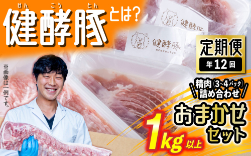 ＜ 定期便 12回 ＞ 北海道産 健酵豚 おまかせ セット （ 精肉 詰め合わせ ） 毎月 各 1kg 以上 ( 3 ～ 4 パック ) 豚肉 おためし 詰め合わせ ブランドポーク 1427169 - 北海道新ひだか町