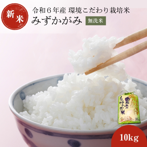 【先行予約開始】令和7年産みずかがみ 無洗米(環境こだわり栽培米)10kg お米 142836 - 滋賀県豊郷町