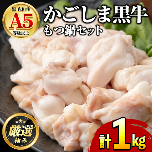 【0101711a】鹿児島県産黒毛和牛！A5牛もつ鍋セット(合計1kg・小腸約300g、スープ約700g) 牛肉 肉 和牛 冷凍 国産 お肉 なべ 鍋 もつ鍋【前田畜産たかしや】 14285 - 鹿児島県東串良町