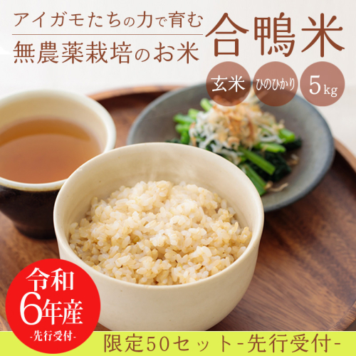 【令和7年産】無農薬栽培 合鴨米ひのひかり(玄米)5kg 高原町のお米 ワンストップオンライン対応 TF0424-P00029 1430603 - 宮崎県高原町