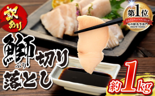 ＼10営業日以内発送／ ブリ 訳あり 鰤 ぶり 切り落とし 計約 1kg (250g×4パック) 南予ビージョイ わけあり buri 産地直送 訳アリ 訳あり品 養殖 刺身 お刺身 漬け丼 茶漬け 新鮮 鰤しゃぶ ぶりしゃぶ 冷凍 小分け 流水解凍 鮮魚 人気返礼品 大容量 国産 愛媛 宇和島 D010-150002