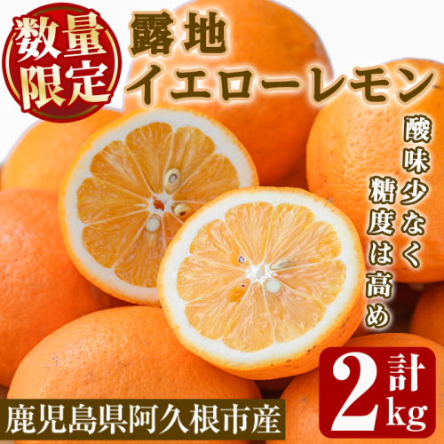 数量限定!露地イエローレモン(約2kg) 国産 果実 果物 レモン イエローレモン フルーツ 檸檬 柑橘 デザート 期間限定 【桐野柑橘株式会社】a-12-339-z 1431906 - 鹿児島県阿久根市