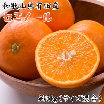 和歌山有田産セミノールオレンジ約5kg(サイズ混合) ※2025年4月中旬～2025年5月上旬頃に順次発送【tec969】 1435695 - 和歌山県新宮市