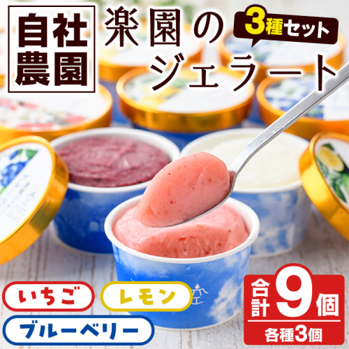 楽園のジェラート3種セット(合計9個) スイーツ デザート おやつ ジェラート アイス 夏 いちご レモン ブルーベリー 自社農園 【農園ガーデン空】a-15-42-z 1435770 - 鹿児島県阿久根市