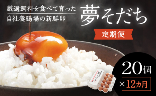 S-8【12カ月定期便】お届け日時の指定必須「夢そだち20個」厳選飼料を食べて育った自社養鶏場の新鮮卵を♪ 143582 - 兵庫県たつの市