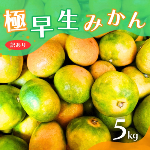 【2024年秋頃発送予約分】【訳あり】こだわりの極早生みかん 約5kg ※2024年10月上旬より順次発送予定（お届け日指定不可） 有機質肥料100% サイズ混合  有田産【nuk165】 1439830 - 和歌山県北山村