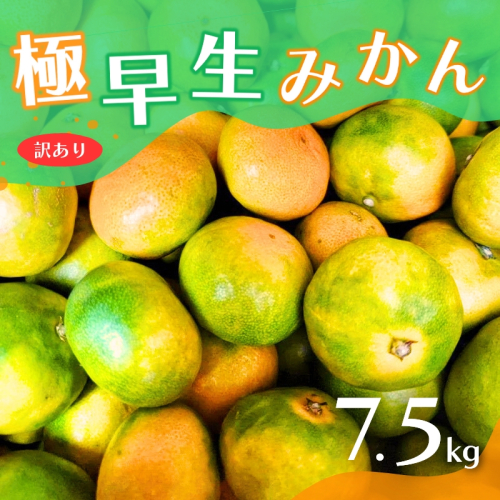 【2024年秋頃発送予約分】【訳あり】こだわりの極早生みかん 約7.5kg ※2024年10月上旬より順次発送予定（お届け日指定不可） 有機質肥料100% サイズ混合  有田産【nuk166】 1440082 - 和歌山県新宮市
